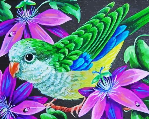 Quaker Parrot And Flowers paint by number