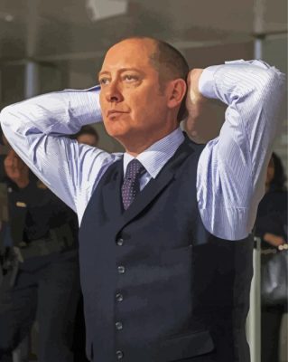 Raymond Reddington Paint by number