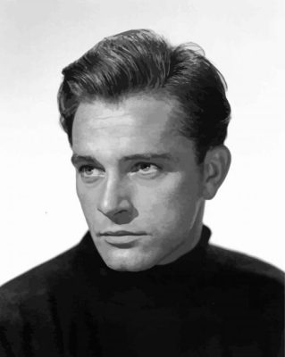 Richard Burton paint by number