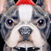 Rock French Bulldog With Collar paint by number