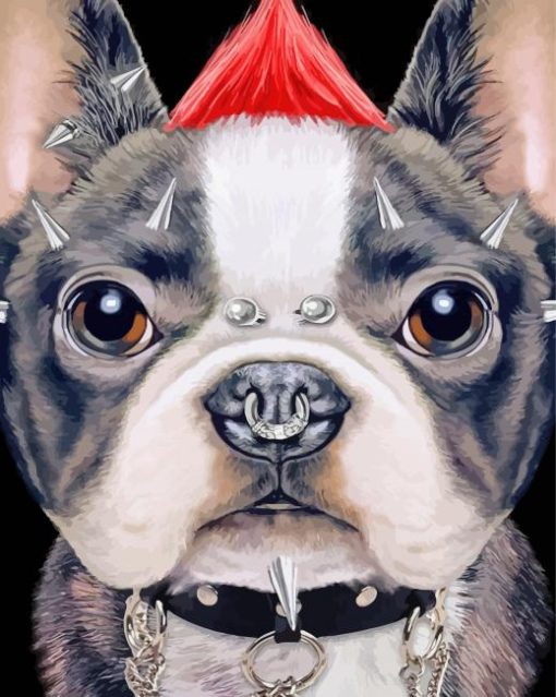 Rock French Bulldog With Collar paint by number