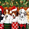 Santa Puppies paint by number