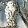 Snowy White Owl On Tree paint by number