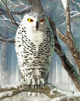 Snowy White Owl On Tree paint by number