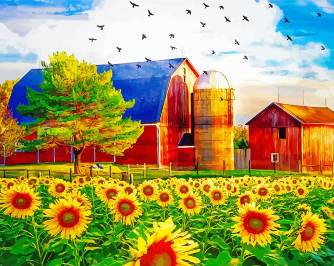 Sunflower And Old Red Barn paint by number