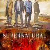 Supernatural Poster Paint by number