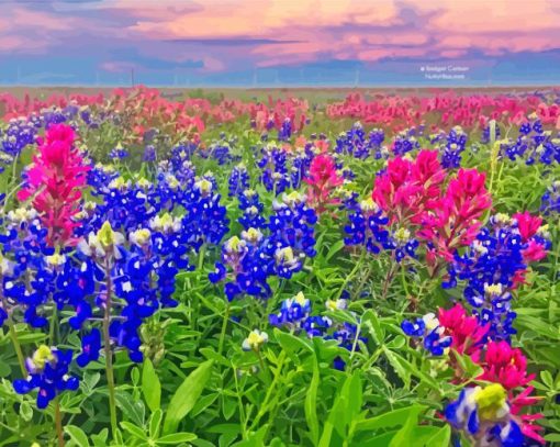 Texas Bluebonnets Landscape paint by number