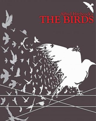 The Birds Illustration Poster Paint by number