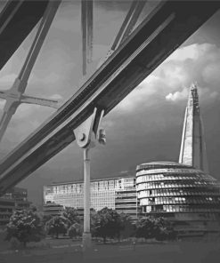 The Shard In Black And White paint by number