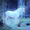 Unicorn In The Forest paint by number