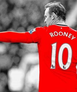Wayne Mark Rooney paint by number