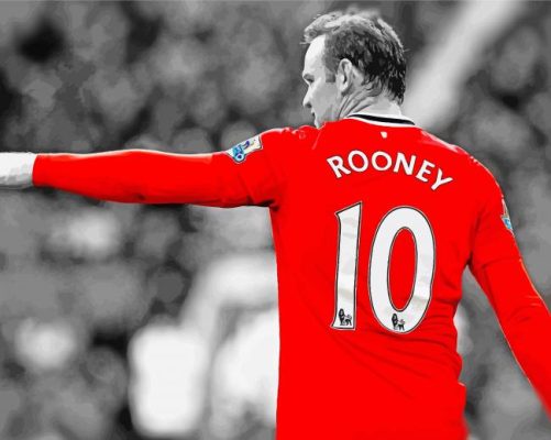 Wayne Mark Rooney paint by number