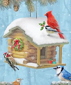 Winter Snow Christmas Birds House paint by number