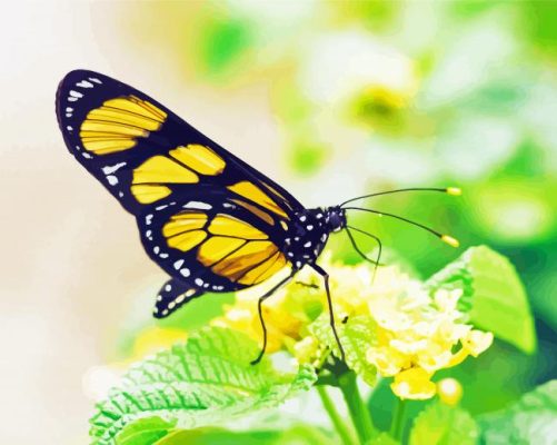 Yellow Monarch Butterfly On Flower paint by number