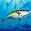 Yellowfin Tuna Fish Art paint by number