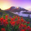 Aesthetic Flower Mountain Landscapes paint by number