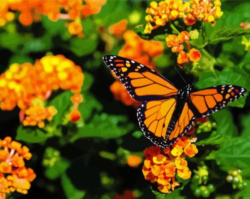 Aesthetic Orange Flower With Butterfly paint by number