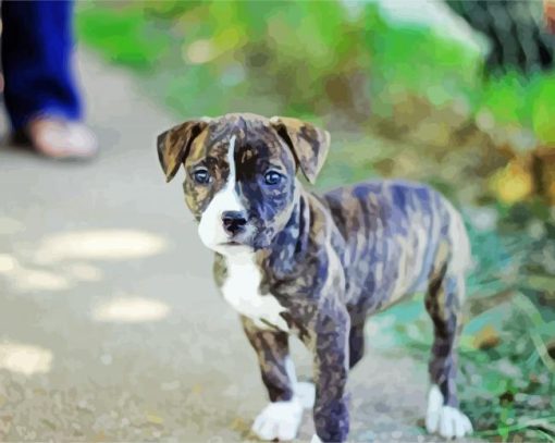 Aesthetic Pit Bull Puppy Paint by number