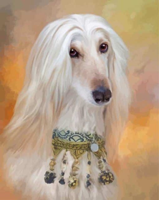 Afghan Hound Dog paint by number