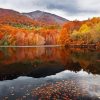 Autumn Spanish Landscape paint by number