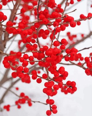 Berries In Winter paint by number