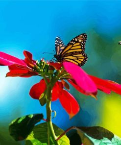 Butterfly And Bee On Poinsettia paint by number