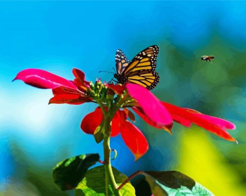 Butterfly And Bee On Poinsettia paint by number