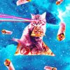 Cat Eating Pizza Galaxy paint by number