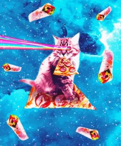 Cat Eating Pizza Galaxy paint by number
