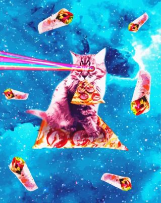 Cat Eating Pizza Galaxy paint by number