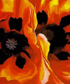 Close Up Orange Poppies Flowers paint by number