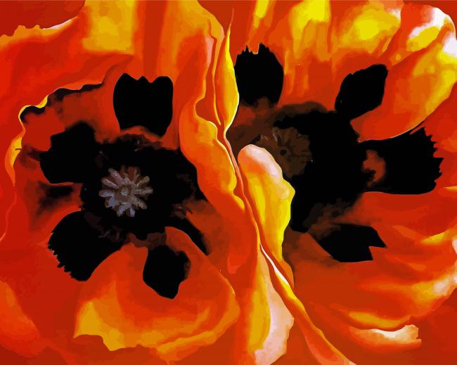 Close Up Orange Poppies Flowers paint by number