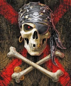 Cool Pirate Skull paint by number