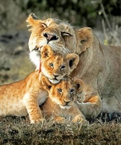 Cute Lioness And Cubs paint by number
