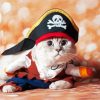 Cute Pirate Cat paint by number
