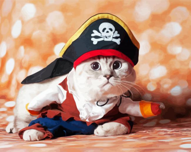 Cute Pirate Cat paint by number
