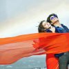 Dilwale Movie paint by number