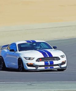 Fast White And Blue Mustang paint by number