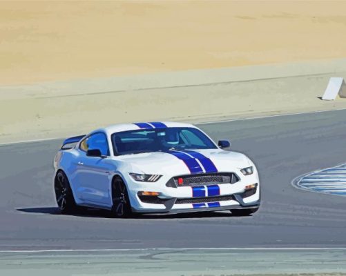 Fast White And Blue Mustang paint by number