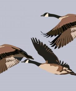 Flying Wild Geese Art paint by number
