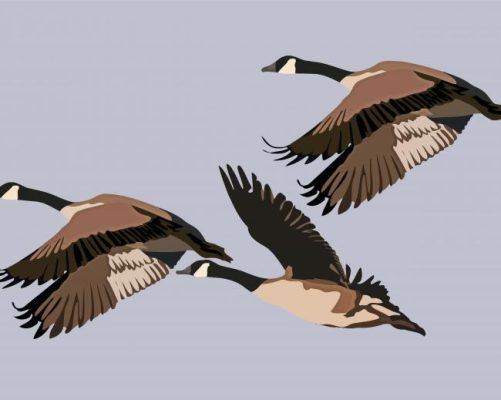 Flying Wild Geese Art paint by number