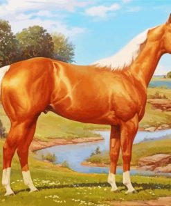 Golden American Quarter Horse paint by number