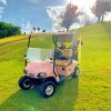 Golf Cart On Grass paint by number