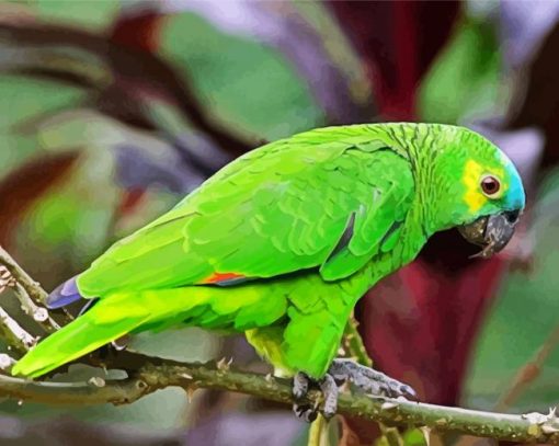 Green Turquoise Fronted Amazon Bird paint by number