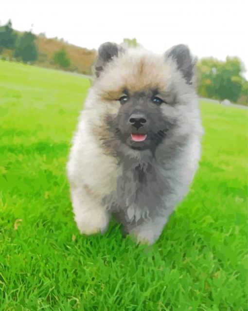 Grey Keeshond Puppy paint by number