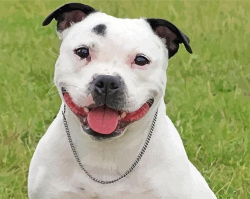 Happy White Staffie Dog paint by number