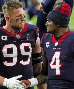Houston Texans Players paint by number