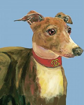 Italian Greyhound Dog paint by number