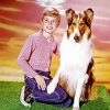 Jon And Lassie Paint by number