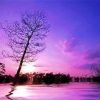 Lake Purple Night paint by number
